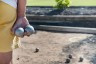 petanque_s